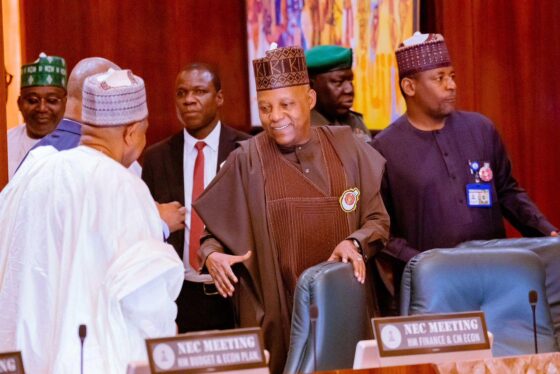 Vice President Shettima