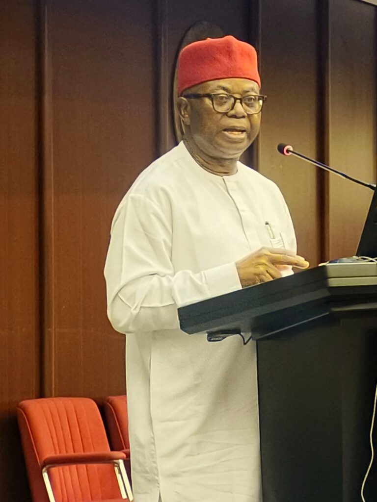 Onuigbo: Africa Needs Lasting Climate Institutions, Not Just Pledges