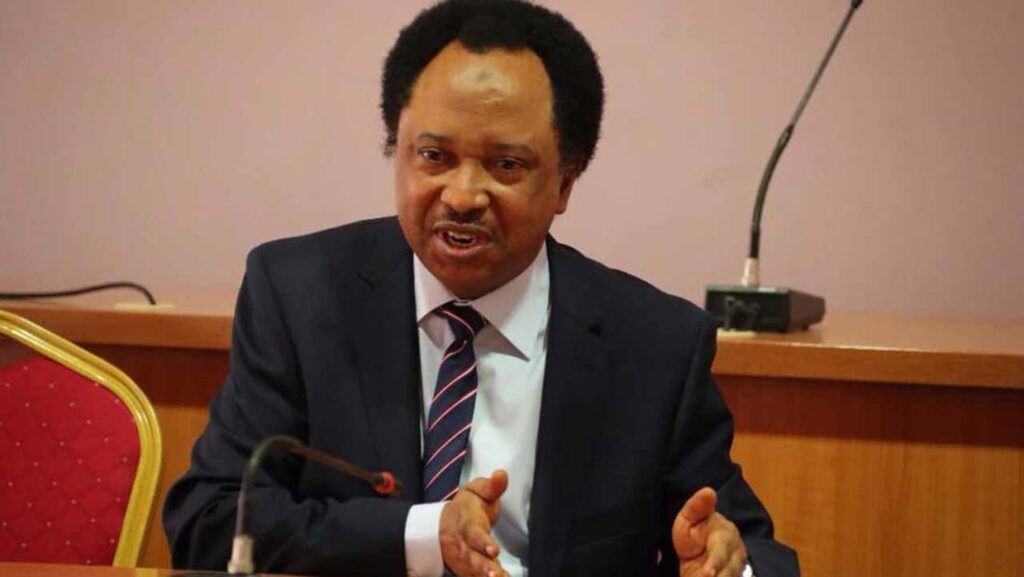 Insecurity: North Blamed Jonathan, Pampered Buhari – Shehu Sani