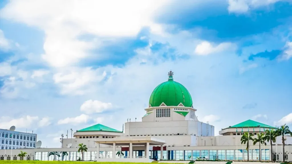 NASS Halts Official Trips to South Africa Over Fresh Xenophobic Attacks